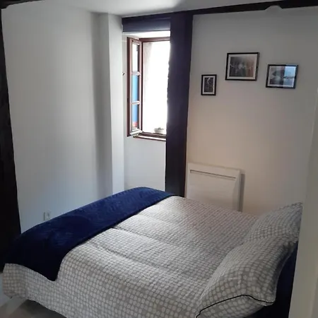 Haute Meublé Avec Cour Privative Appartement