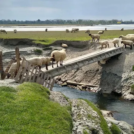 Daire Haute Meuble Avec Cour Privative *