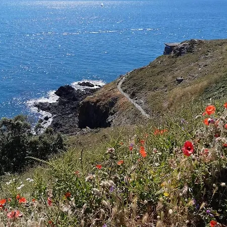 Haute Meuble Avec Cour Privative Daire *