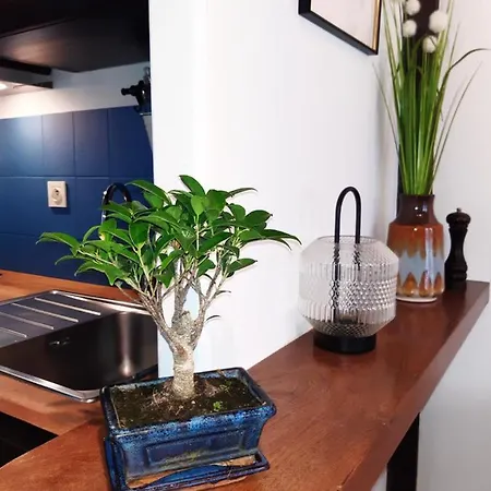 Haute Meuble Avec Cour Privative Granville