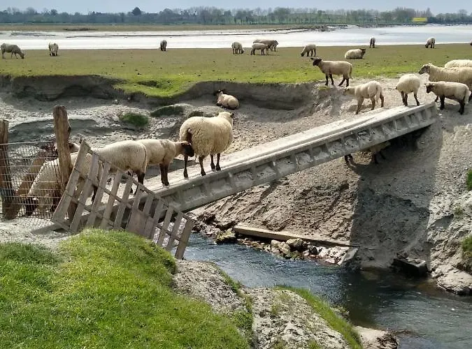 Apartment Haute Meuble Avec Cour Privative *