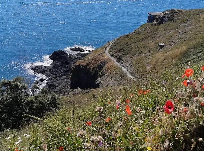 Haute Meublé Avec Cour Privative Appartement *