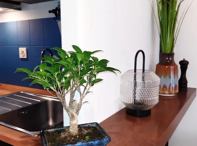 Haute Meuble Avec Cour Privative Granville