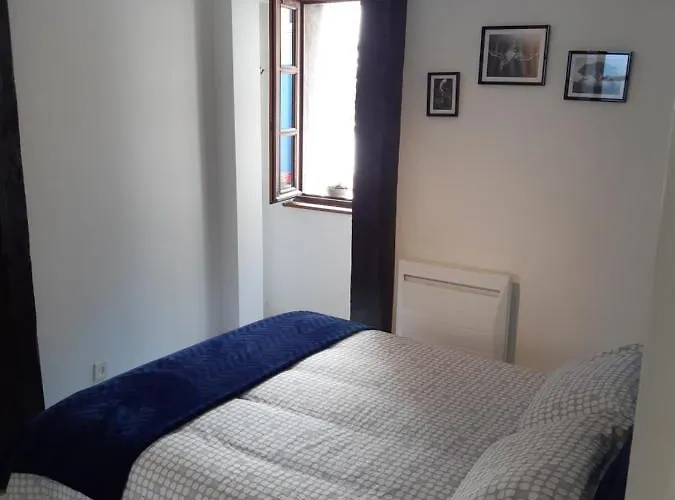 Haute Meublé Avec Cour Privative Appartement