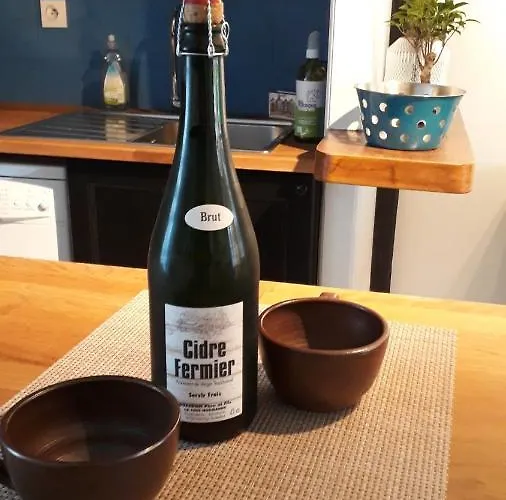 Appartement Haute Meublé Avec Cour Privative *